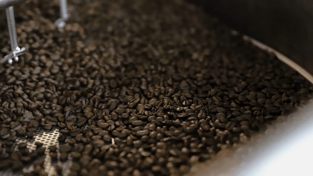 How are Coffee Beans Graded?