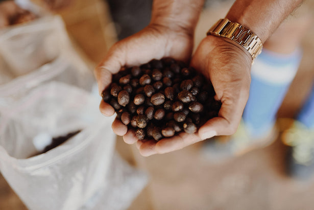 What is specialty coffee and how is it graded?